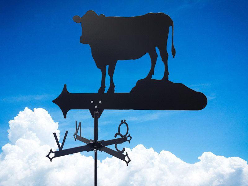 Vindflöjel ko på himmels bakgrund.