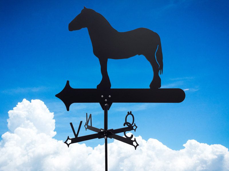 Vindflöjel på en nordsvensk häst på himmelsblå bakgrund.